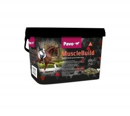 Pavo MuscleBuild - Pour un développement rapide des muscles